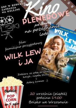 Zapraszamy  na KINO Plenerowe we Wrzosowie 20 wrzesnia 2024 r. o godz. 19